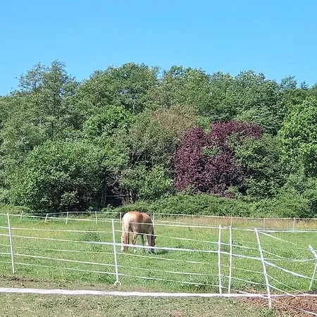 Apartmán Carlchens Casa *