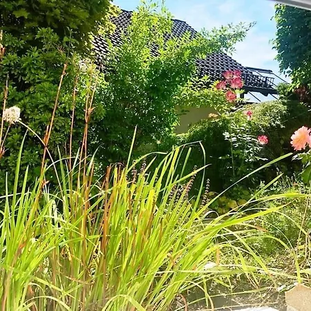 Carlchens Casa * Reinhardshagen