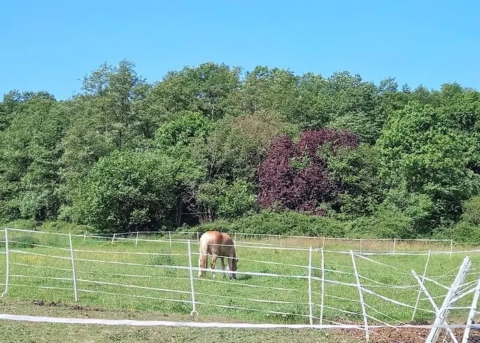 Appartement Carlchens Casa *