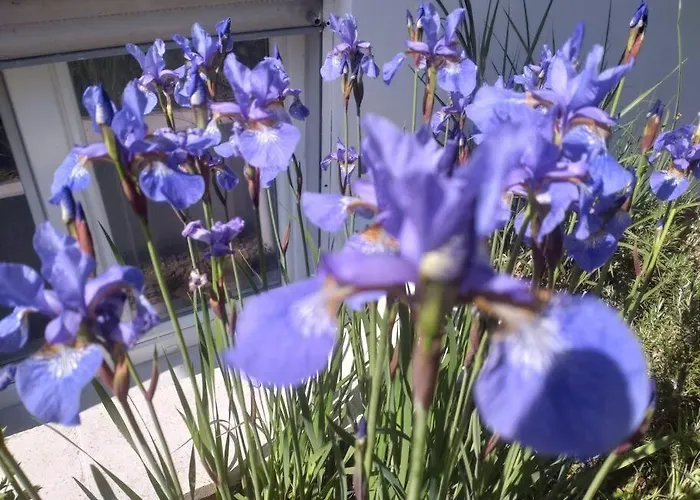 Carlchens Casa Διαμέρισμα