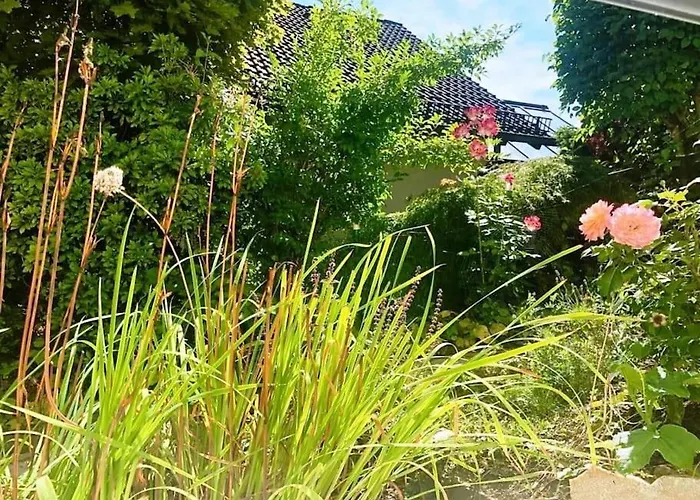 Carlchens Casa * Reinhardshagen