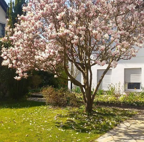 Appartement Carlchens Casa Reinhardshagen