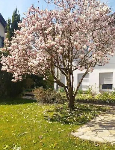 Carlchens Casa Διαμέρισμα Reinhardshagen